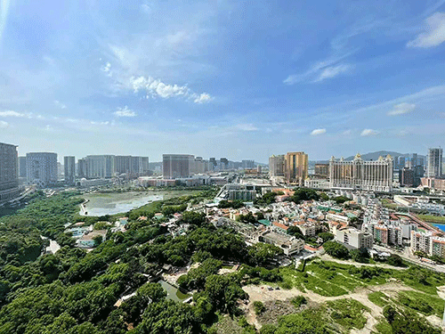 全澳綠地面積 近五年增一成